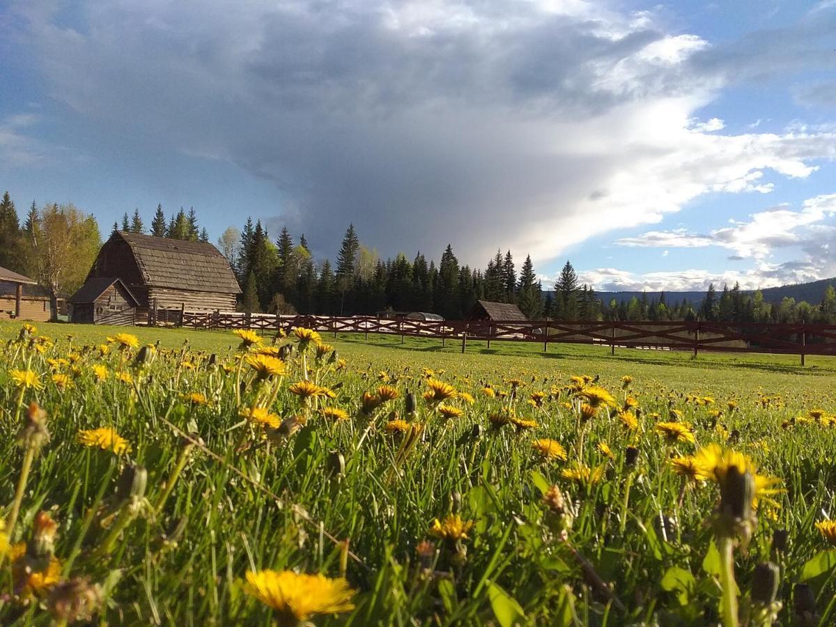 Wells Gray Guest Ranch Otel Clearwater Dış mekan fotoğraf